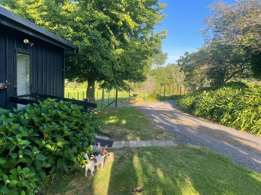 Pukekohe Location! Romantic Country Cottage Exterior photo